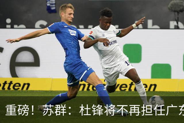 重磅！苏群：杜锋将不再担任广东队主教练，球迷：宏远天亮了